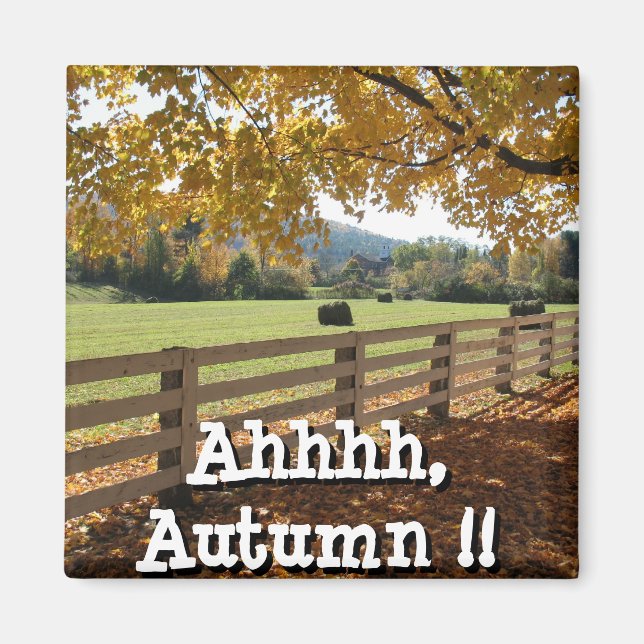 Kvadratisk magnet (Framsidan)