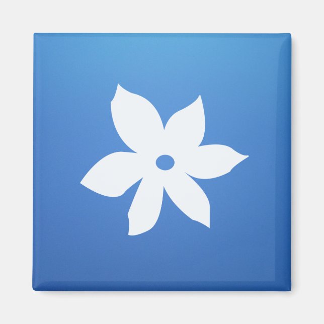 Kvadratisk magnet (Framsidan)