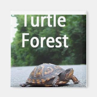 Kvadratisk magnet - Anpassad