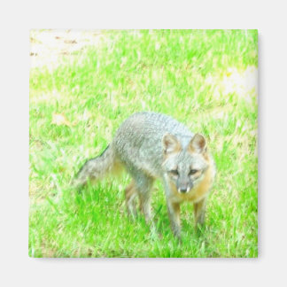 Kvadratisk magnet - Anpassad