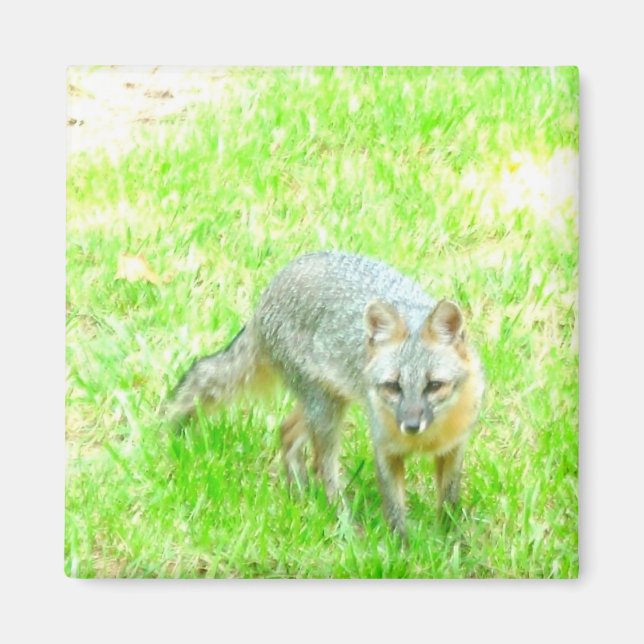 Kvadratisk magnet - Anpassad (Framsidan)