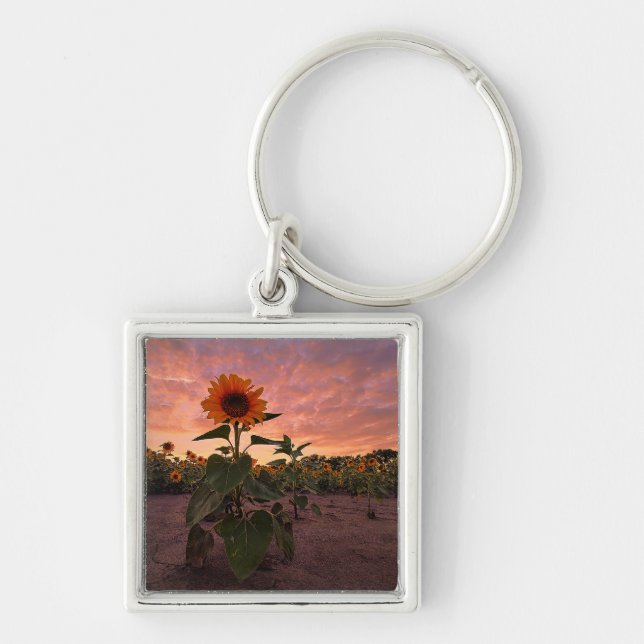 Kvadratisk nyckelkedja fyrkantig silverfärgad nyckelring (Framsidan)