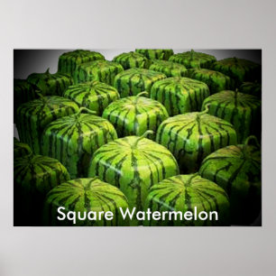 Kvadratisk vattenmelonutskrift poster