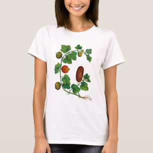 Kvadratvin 3 tee shirt
