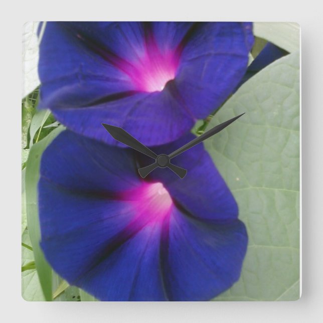 Kvadrera den blom- väggen tar tid på fyrkantig klocka (Framsida)