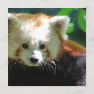 Kvadrera den skräddarsy inbjudan -