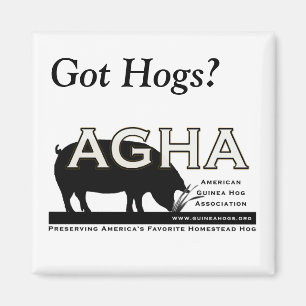 Kvadrera "harHogs?", magnet