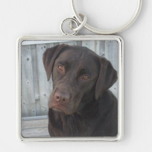 Kvadrera Keychain - chokladlabb Fyrkantig Silverfärgad Nyckelring