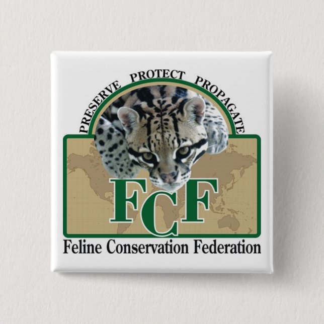 Kvadrera knäppas knapp (Framsida)