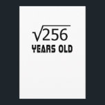 Kvadrera rotar av 256 16 år gammal 16th födelsedag kort<br><div class="desc">Full rolig T-skjorta</div>