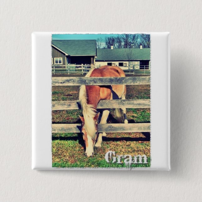 Kvadrerar den Deluxe upplagan för grammet knäppas Knapp (Framsida)