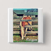 Kvadrerar den Deluxe upplagan för grammet knäppas