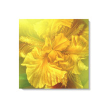 Kvadsyta med isens inre skönhet (varm gult)