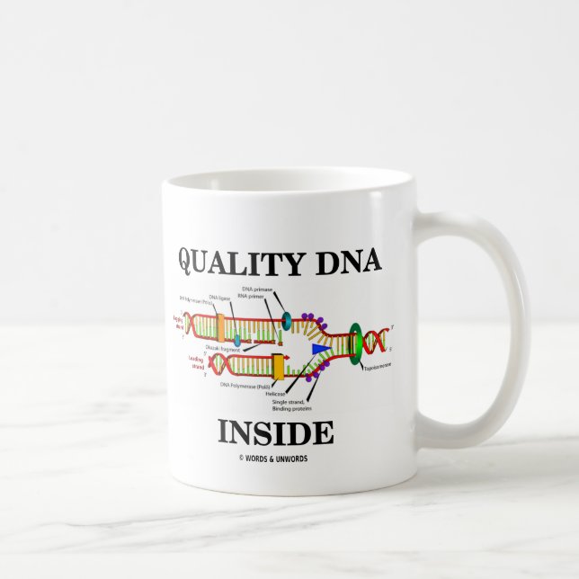 Kvalitets- DNA-insida (DNA-replicationen) Kaffemugg (Höger)
