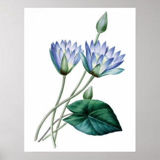 KVALITETSBETECKNING FÖR botaniskt PREMIUM-BIDRAG f Poster