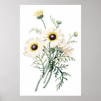 KVALITETSKVALITETEN I botaniskt PREMIUM-material,  Poster