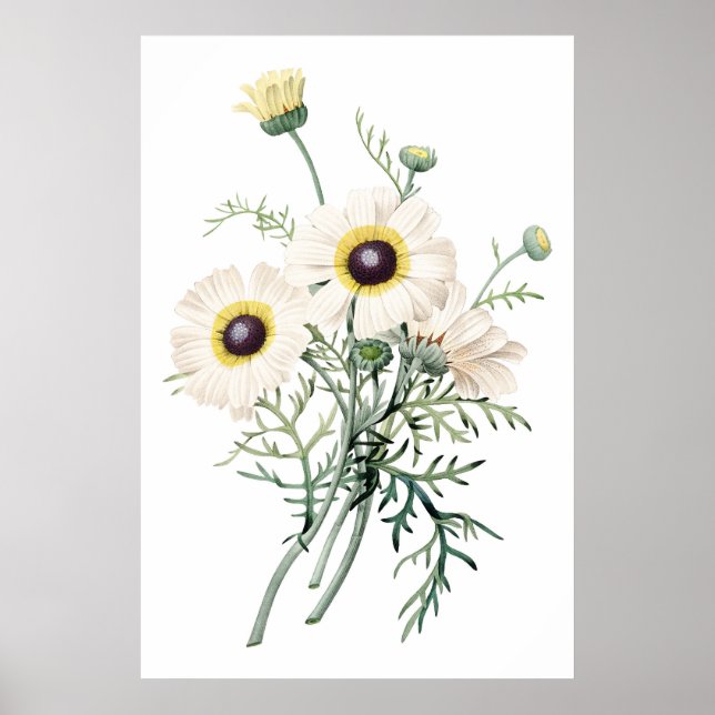 KVALITETSKVALITETEN I botaniskt PREMIUM-material,  Poster (Framsidan)