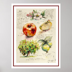 KVÄLL målad illustration av äpple Poster