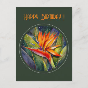KVÄLL målat Strelizia Flower Vykort
