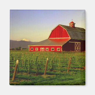 Kväll sol på en lada i Skagit i Washington Magnet