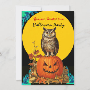 KVÄLL UGGLA FULL MOON HALLOWEEN FEST INBJUDNINGAR