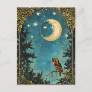 KVÄLL UGGLA FULL MOON OCH STARRY KVÄLL HELG VYKORT