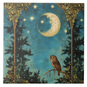 KVÄLL UGGLA FULL MOON OCH STARRY KVÄLL KAKELPLATTA