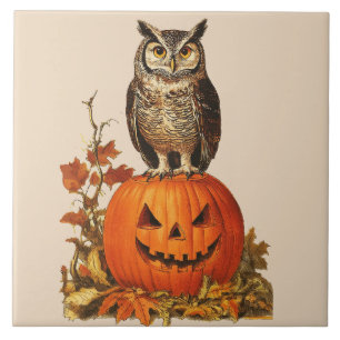 KVÄLL UGGLA PÅ HALLOWEEN PUMPKIN OCH HÖST LÖV KAKELPLATTA