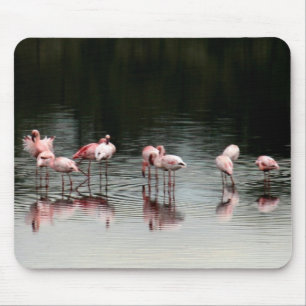 Kvällen vid Sjö - Mousepad Musmatta