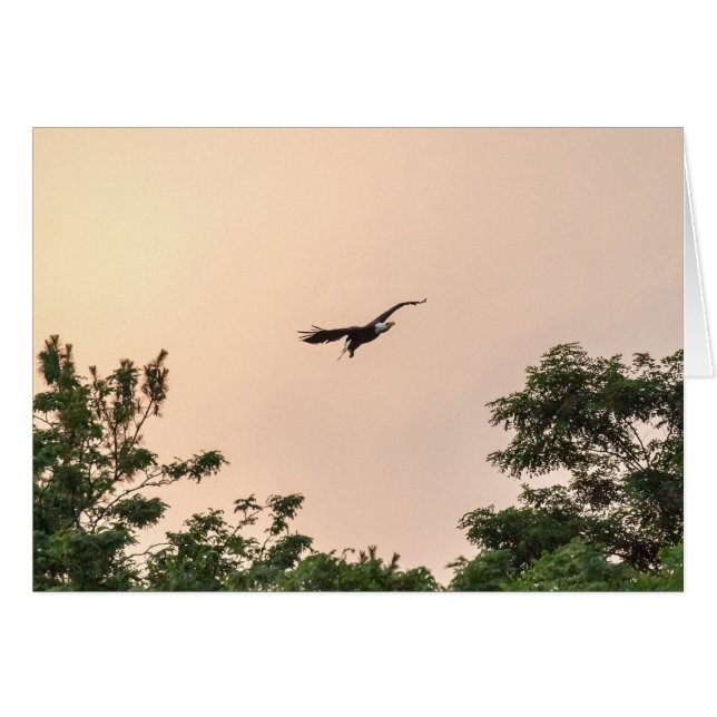 Kvällens ankomst hälsningskort (Framsidan Horizontal)