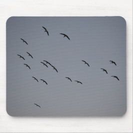 Kvällsflygning Musmatta