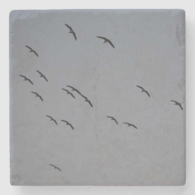 Kvällsflygning Stenunderlägg (Framsidan)