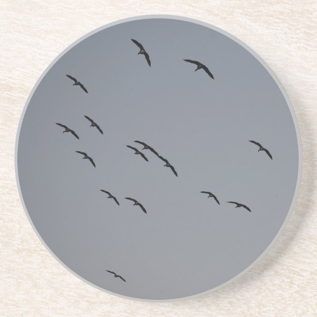 Kvällsflygning Underlägg (Framsidan)