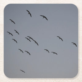 Kvällsflygning Underlägg Papper Kvadrat