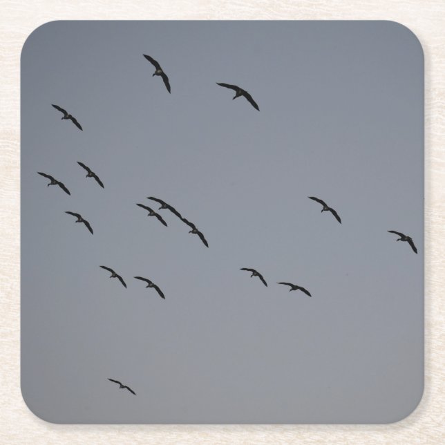Kvällsflygning Underlägg Papper Kvadrat (Framsidan)