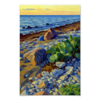 Kvällsljus på Vormsis kust Fototryck