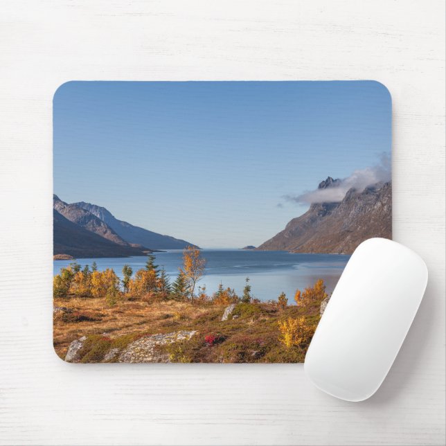 Kvaloya Island Norge Musmatta (Med mus)