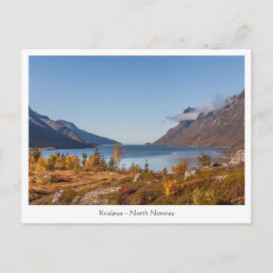 Kvaloya Island Norge Vykort