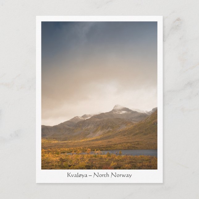 Kvaløya North Norge Vykort (Framsida)