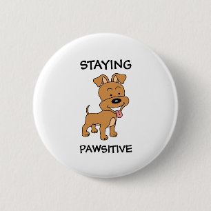 Kvar positiv sötnos Rolig hund Pun Knapp