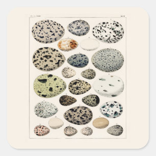 KVARHÅLLARE MED VINTAGE "ÄGG AV FÅGLAR"-KORT FYRKANTIGT KLISTERMÄRKE