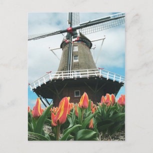 Kvarn för Holland tulpanTime blommor Vykort