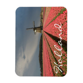 Kvarn med rosa-tulpaner i vår magnet
