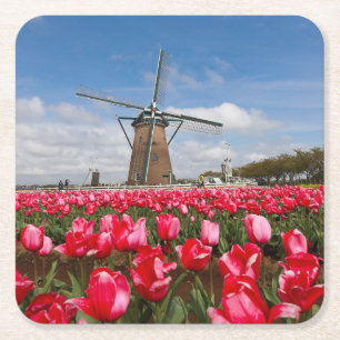 Kvarn och Tulips Underlägg Papper Kvadrat
