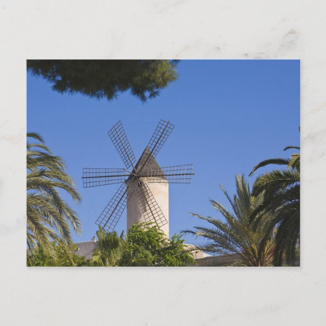Kvarn, Palma, Mallorca, Spanien Vykort (Framsida)