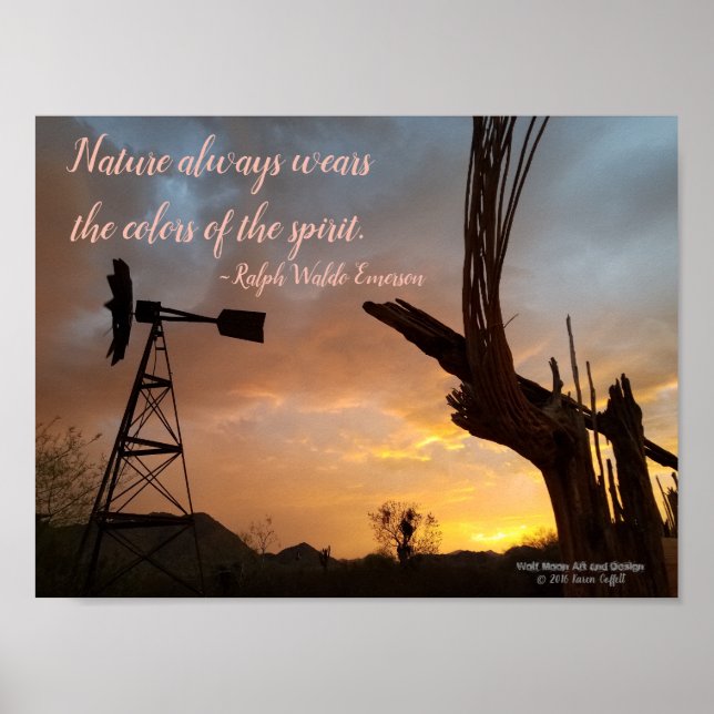 Kvarn Saguaro Cactus Skeleton Arizona Sunset Poster (Framsidan)