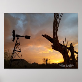 Kvarn Saguaro Cactus Skeleton Arizona Sunset Poster