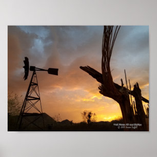 Kvarn Saguaro Cactus Skeleton Arizona Sunset Poster