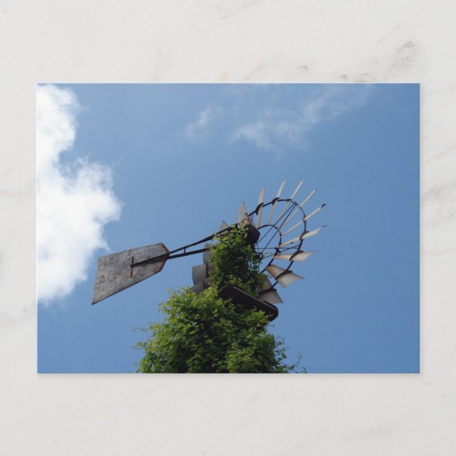 Kvarn Vykort (Framsida)