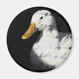 Kvartal Magnet